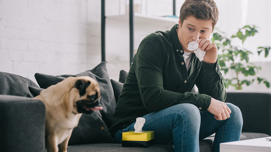 Installing an air purifier is one of the smartest approaches to boost your home’s indoor air quality. Find out more about the three smartest products. 